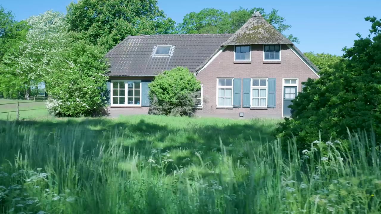 Traditionele Nederlandse boerderij omringd door een weelderige groene weide.