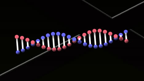 animación digital de la estructura del adn girando contra líneas blancas en fondo negro
