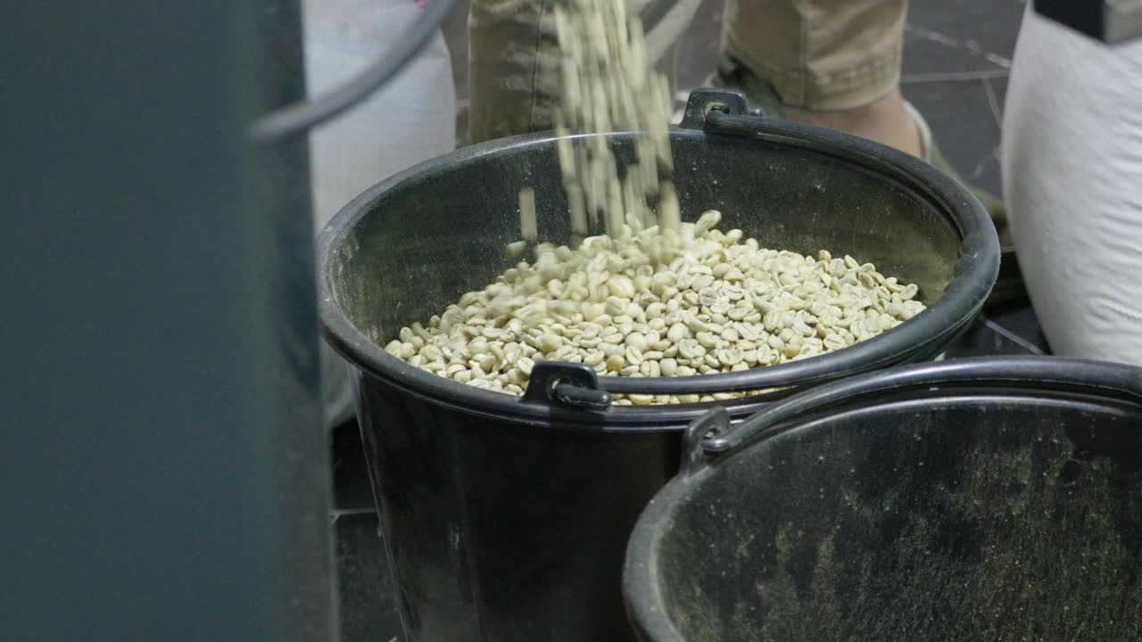 Explore the intricate process of coffee bean handling in an industry setting.