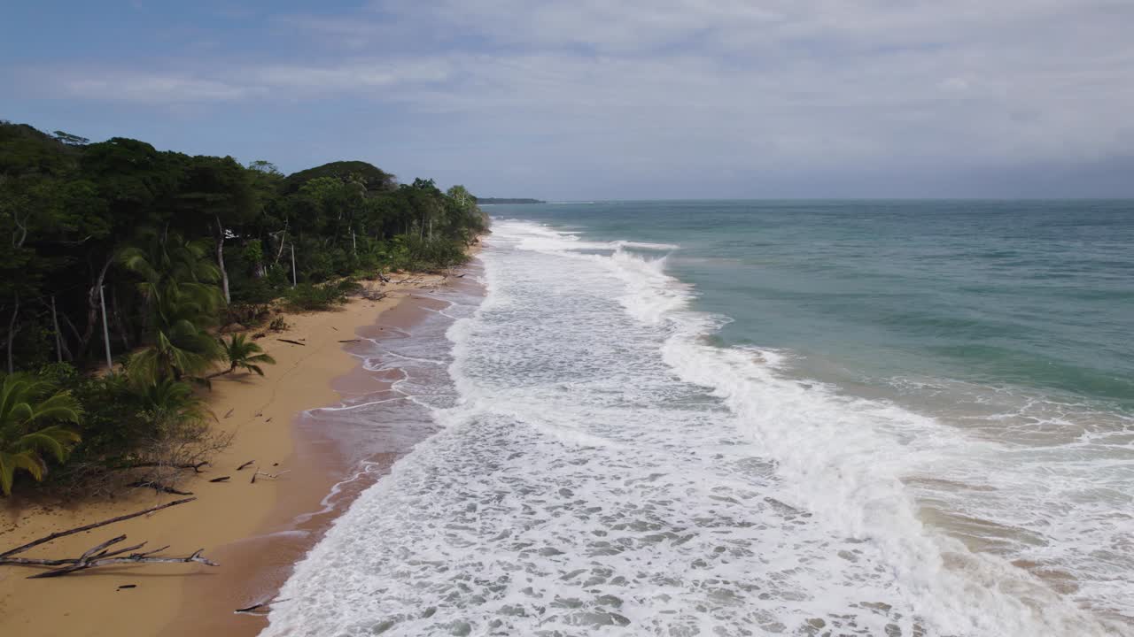 Aerial View of a Tropical Beach with Waves and Lush Palm Trees
