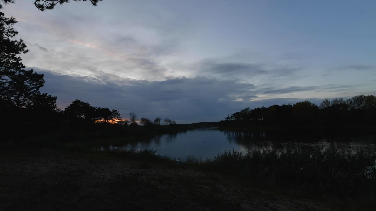 Zeitraffer der Vögel auf dem See