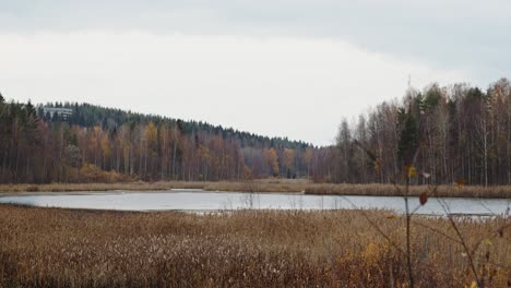 Large-lake-and-woods-Landscape---4k-24fps