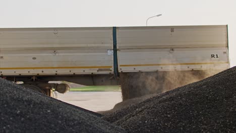 unloading sunflower seeds from the trailer after harvesting with dust