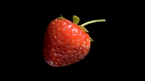 levitating red strawberry. rotating ripe strawberry flying in the air isolated on black background. closeup, camera rotation 360 degrees.