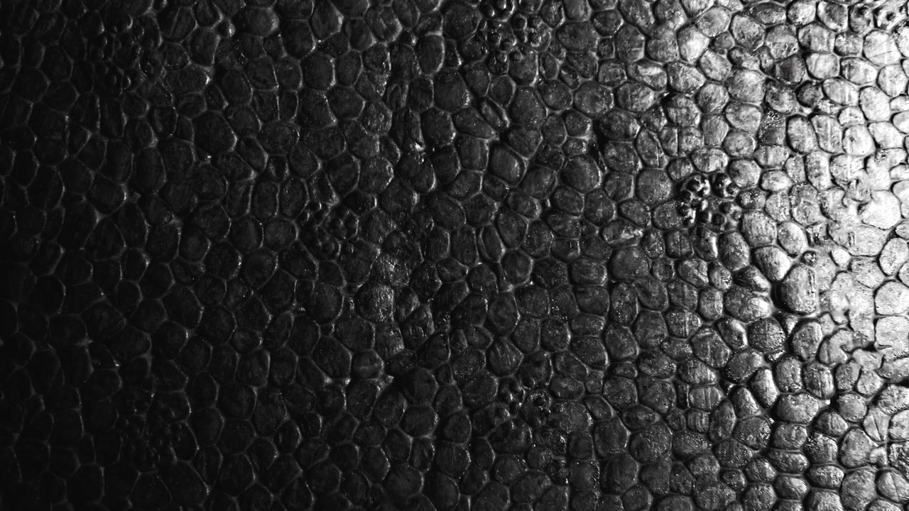 Textured styrofoam surface with cellular pattern