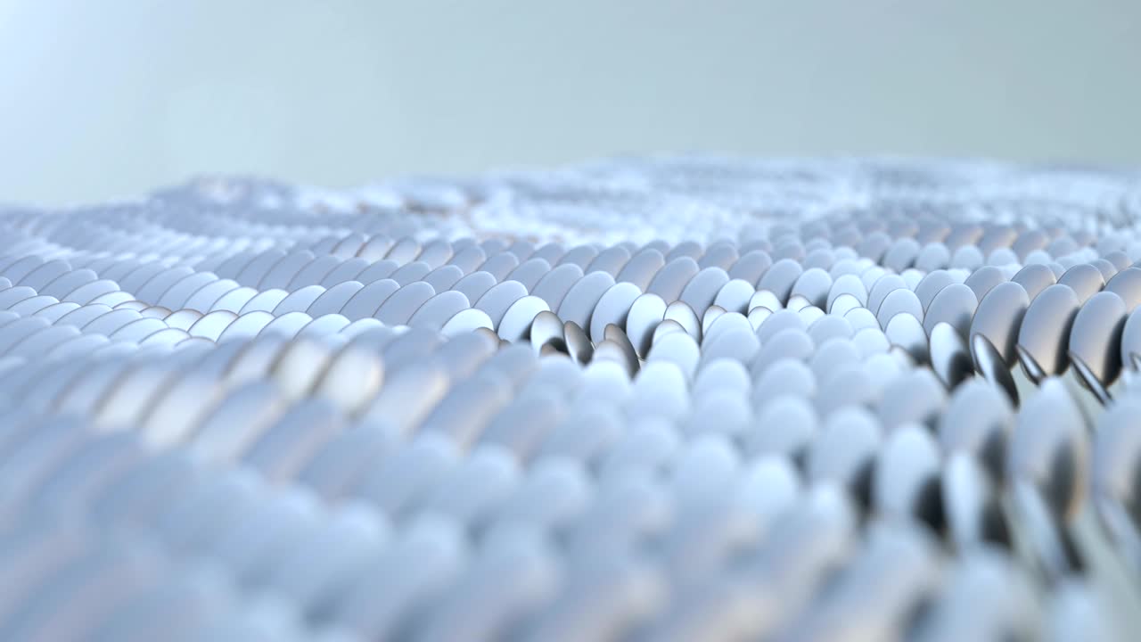 타원형 입자 (실버) - 루프 가능