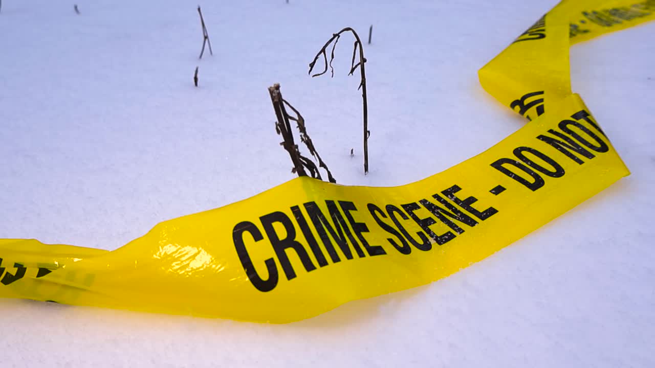 Yellow colored forensics abandoned crime scene science police tape ribbon on a flutty white snow ground during winter time while snow is falling on it beautifully. Some reeds and plants in the snow