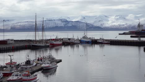 fishing boats docked in icelandic harbor with snowy mountains in the background, calm waters reflect the serene scenery