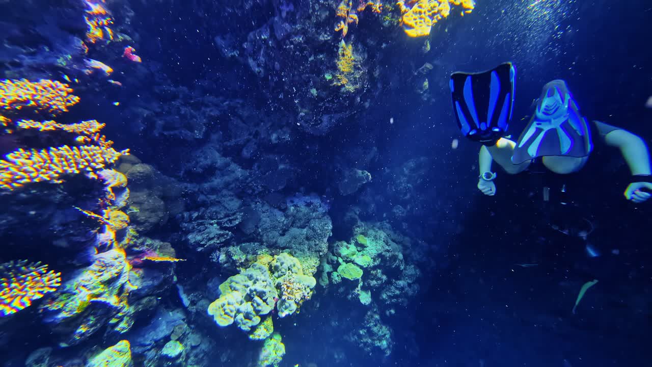 Buceador libre se sumerge verticalmente en un abismo resplandeciente revestido de coral, rodeado de vívida vida de arrecife en la oscuridad. Bali, Indonesia.