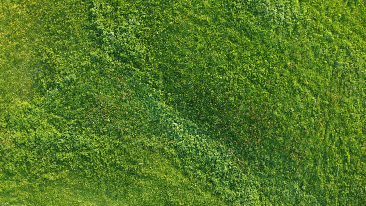 беспилотные съемки английской сельской местности