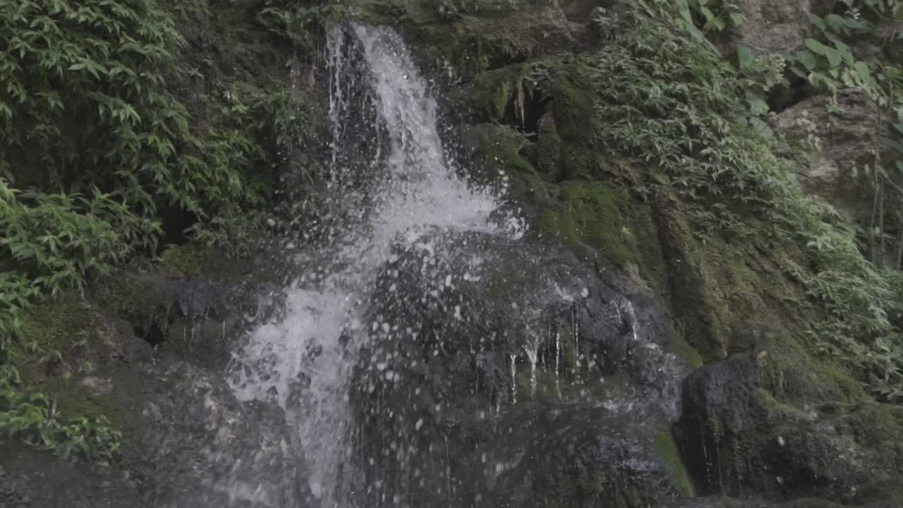 A detail shot of a smaller, vigorous cascade within the Misol-Ha natural park, showing water churning over a dense, mossy, and vegetation-covered rock face