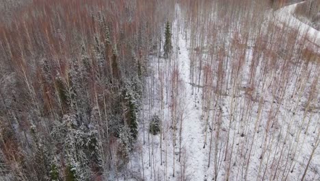 Suche-Nach-Menschen-Im-Wald-Im-Winter