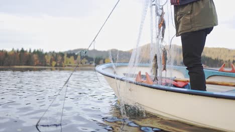 el hombre parado en el bote saca la red de pesca del agua con peces capturados en noruega