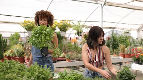 garden center workers smelling and checking aromatic plants