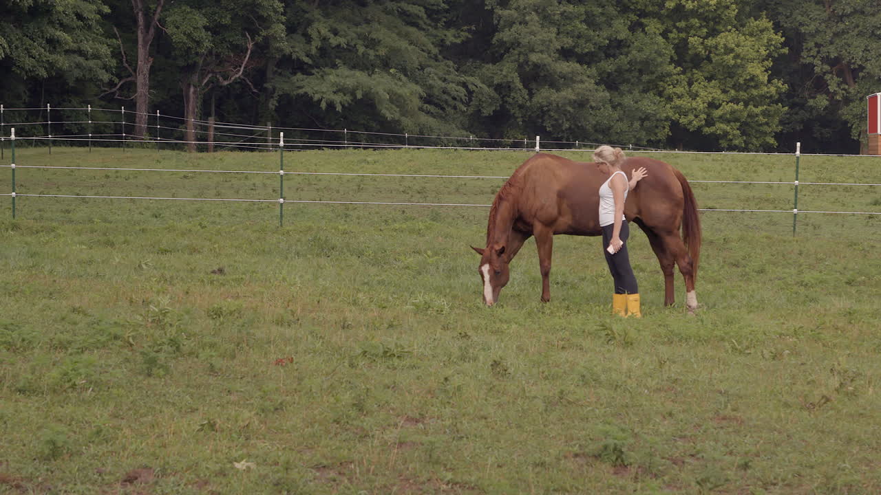 A woman pets a young colt grazing in a field and smiles at camera