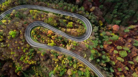 colourful winding road with many curves surrounded by a deciduous woodland with pine trees