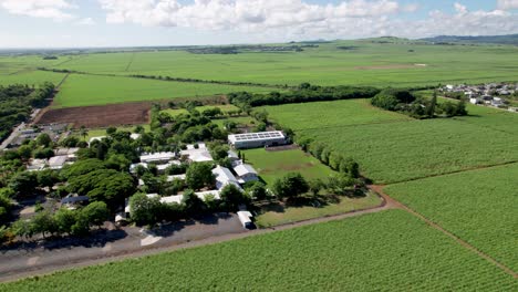 Ecole-Du-Nord-In-Mauritius,-Umgeben-Von-üppigem-Grün-Und-Feldern,-Sonniger-Tag,-Luftaufnahme