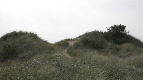 a low, simple establishing shot of grassy hills with a narrow footpath through the center. the wind sweeps across the landscape, bending the grass under an overcast sky, evoking a melancholic mood.