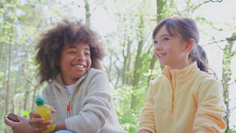 two children walking through woods in springtime taking a break sitting on log eating snack