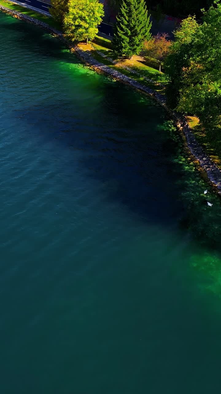 Aerial shot of Latvia lakeshore with green trees vibrant water and stone walkway highlighting the country's natural beauty on a sunny day