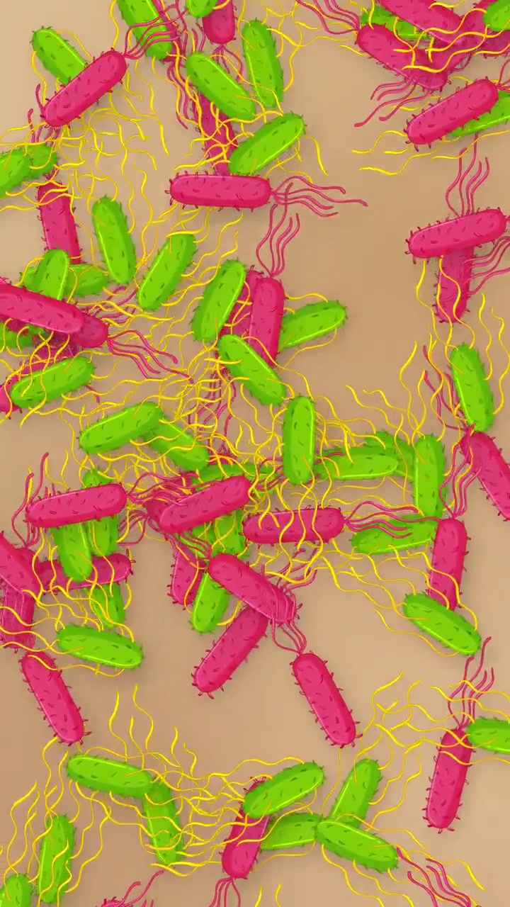 Animazione verticale di batteri a forma di bastoncino rosa e verdi che cadono su uno sfondo a rete neutro