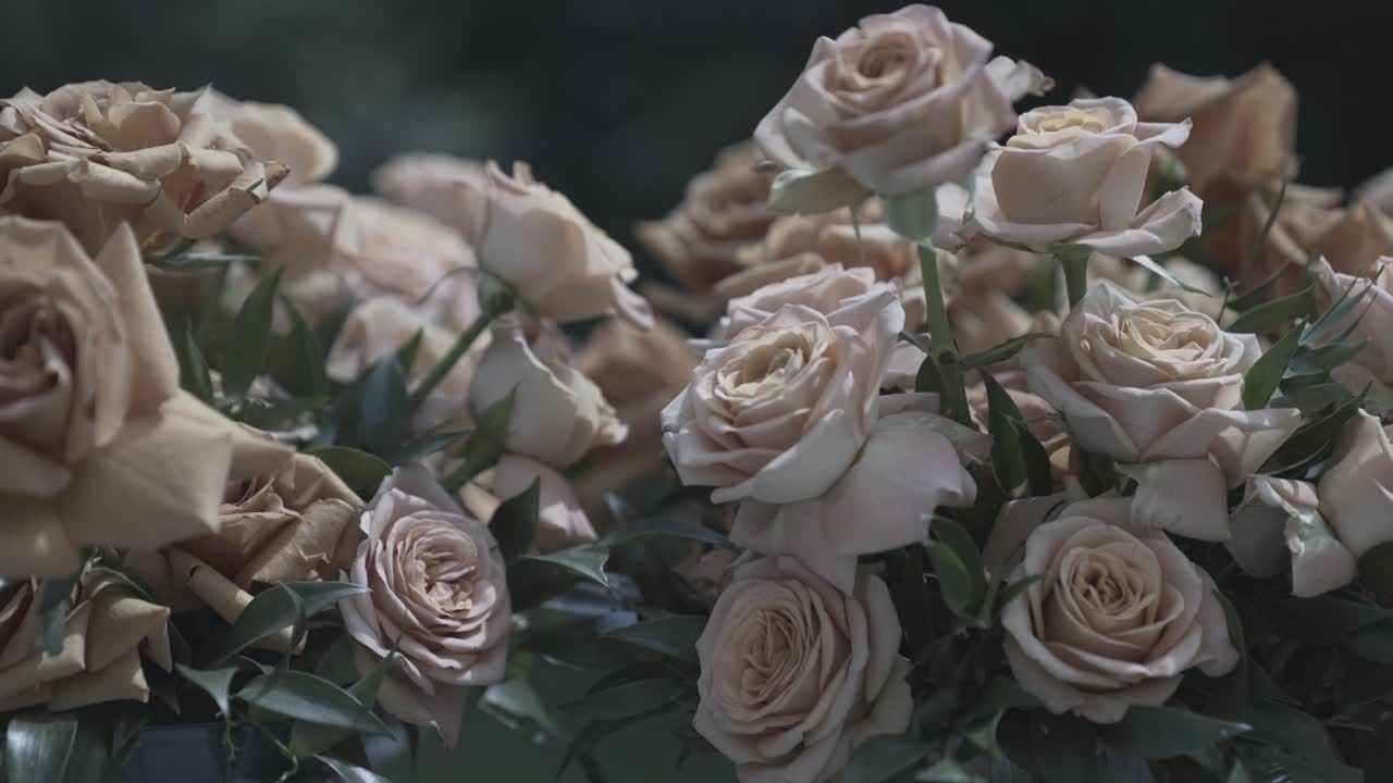 Close-up of withered white roses in full bloom, arranged in a bouquet with green leaves. The petals curl slightly, creating a vintage, nostalgic aesthetic. Dark, blurred background enhances contrast.