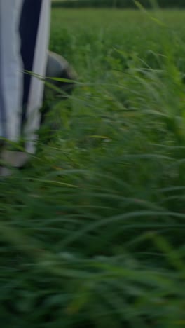 woman walking in a field