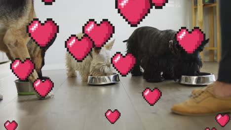 animación de iconos de corazón rojo sobre tres perros mascotas comiendo.