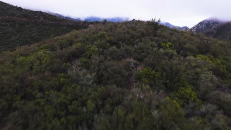 Reveal-of-Winding-Hiking-Trail-Behind-Densely-Forested-Mountains