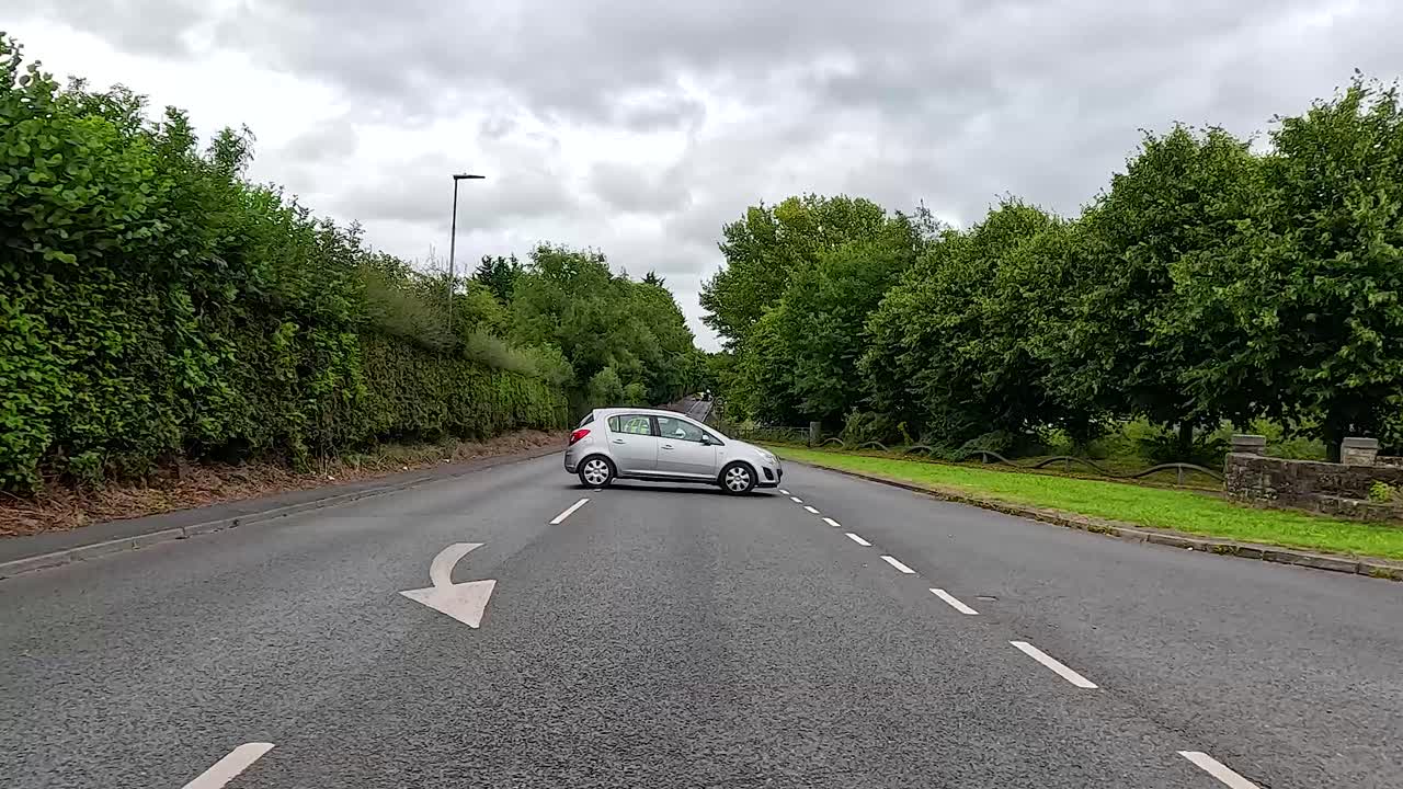 한 차가 잎이 많은 거리를 따라 달린다