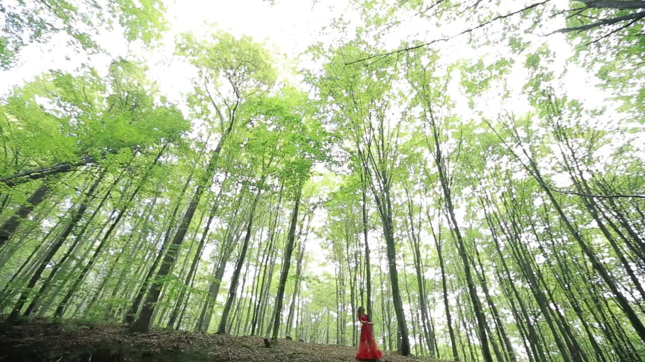 Woman Walking In Mysterious Forest. Woman in red long dress walking in mysterious forest