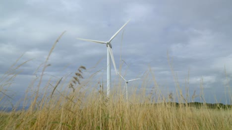 wind turbines rotating against cloudy summer sky with low angle approach through blowing yellowed grass and rise up reveal of coastline and distant mountain at end