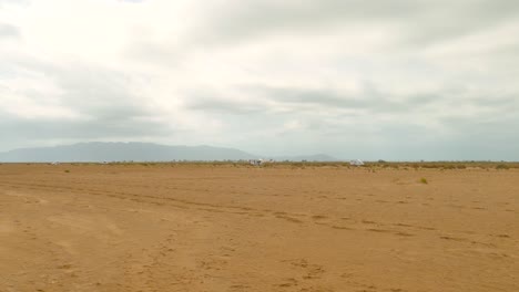 empty sand dune beach of the delta in ebro delta, catalonia, spain