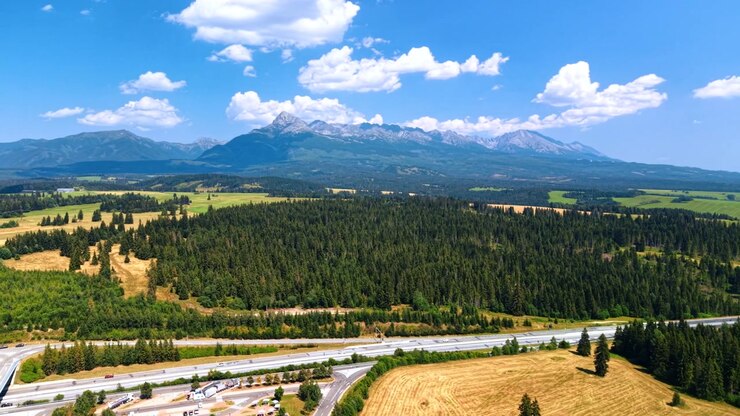 Alti Tatra e Krivan sopra un'autostrada e strutture stradali. Una strada a carreggiate separate attraversa il primo piano sotto conifere, campi gialli e cime rocciose sotto le nuvole