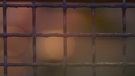 close up squared iron netting outdoors. yellow red bokeh lights moving flowing