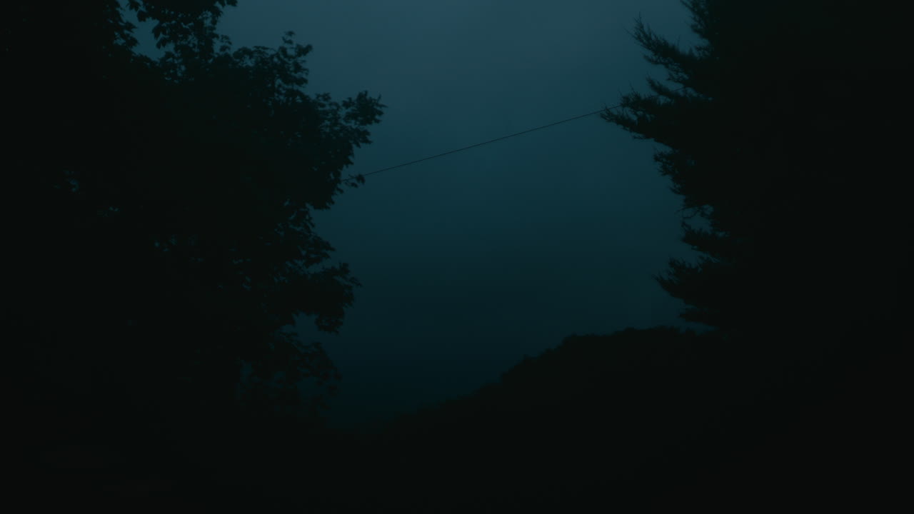 Dark silhouette of trees and sky