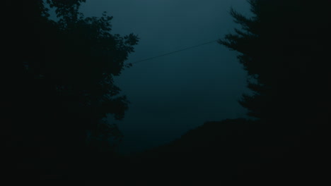 dark silhouette of trees and sky