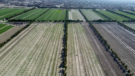 Beautiful-Well-Groomed-Fields