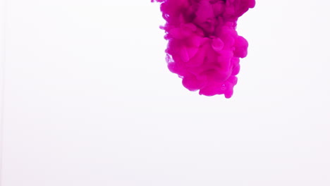 pink paint or dye dropped into water against white background to create swirling colourful smoke background 2