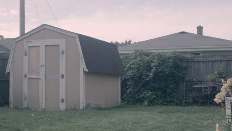 a timelapse shot in a suburban backyard during overcast conditions in kenosha, wisconsin. features a beige barn-shed in the foreground, a hops plant behind it and a rotten out wooden fence.