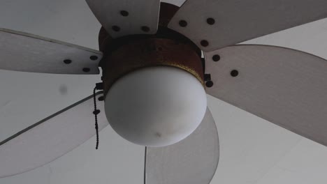 a ceiling fan spins at a steady pace.