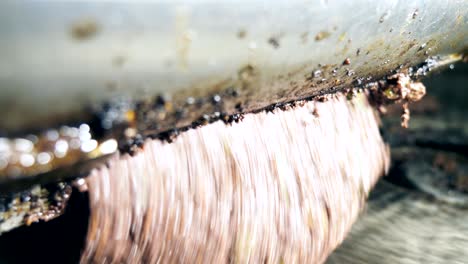 making olive oil in olive oil mill in south of italy-close up