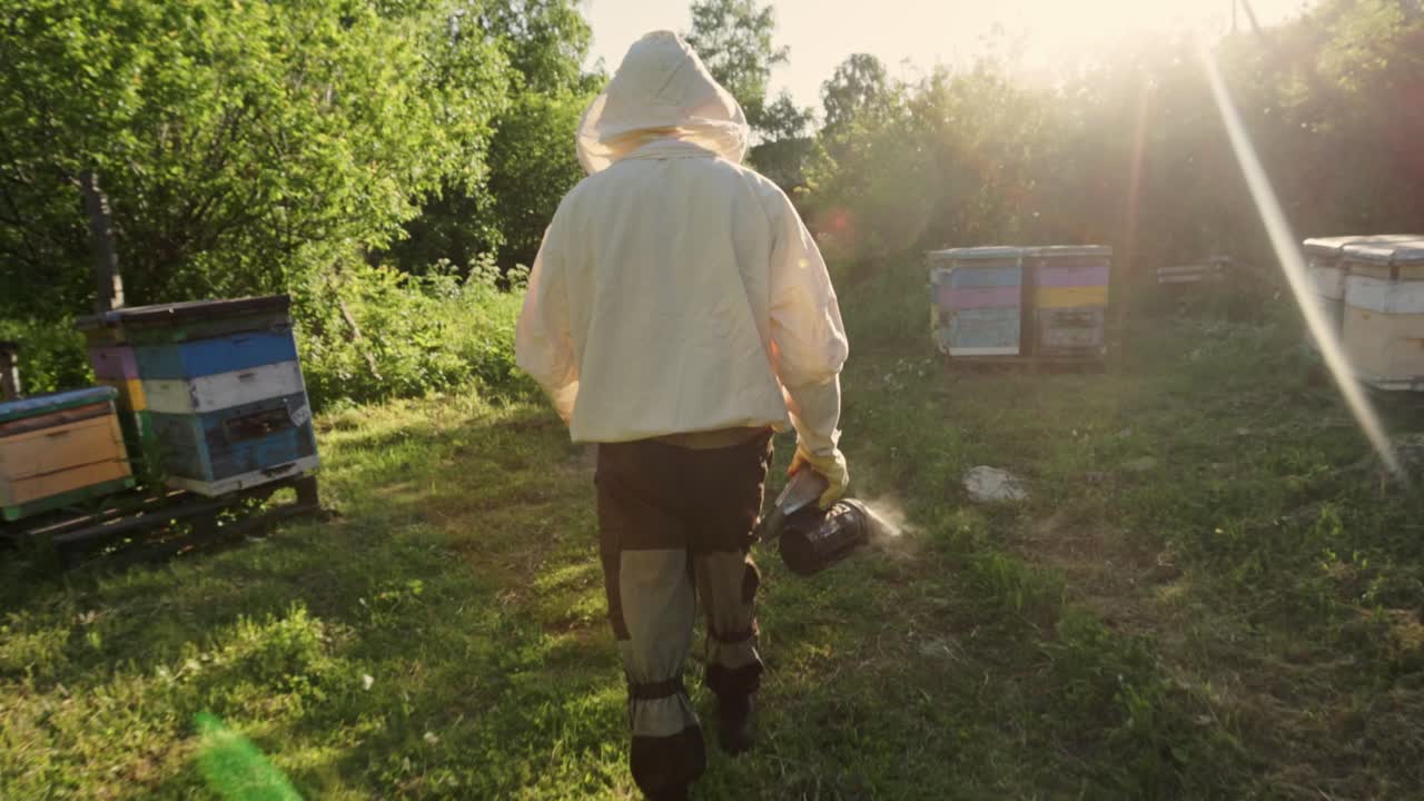 Beekeeper working in an apiary