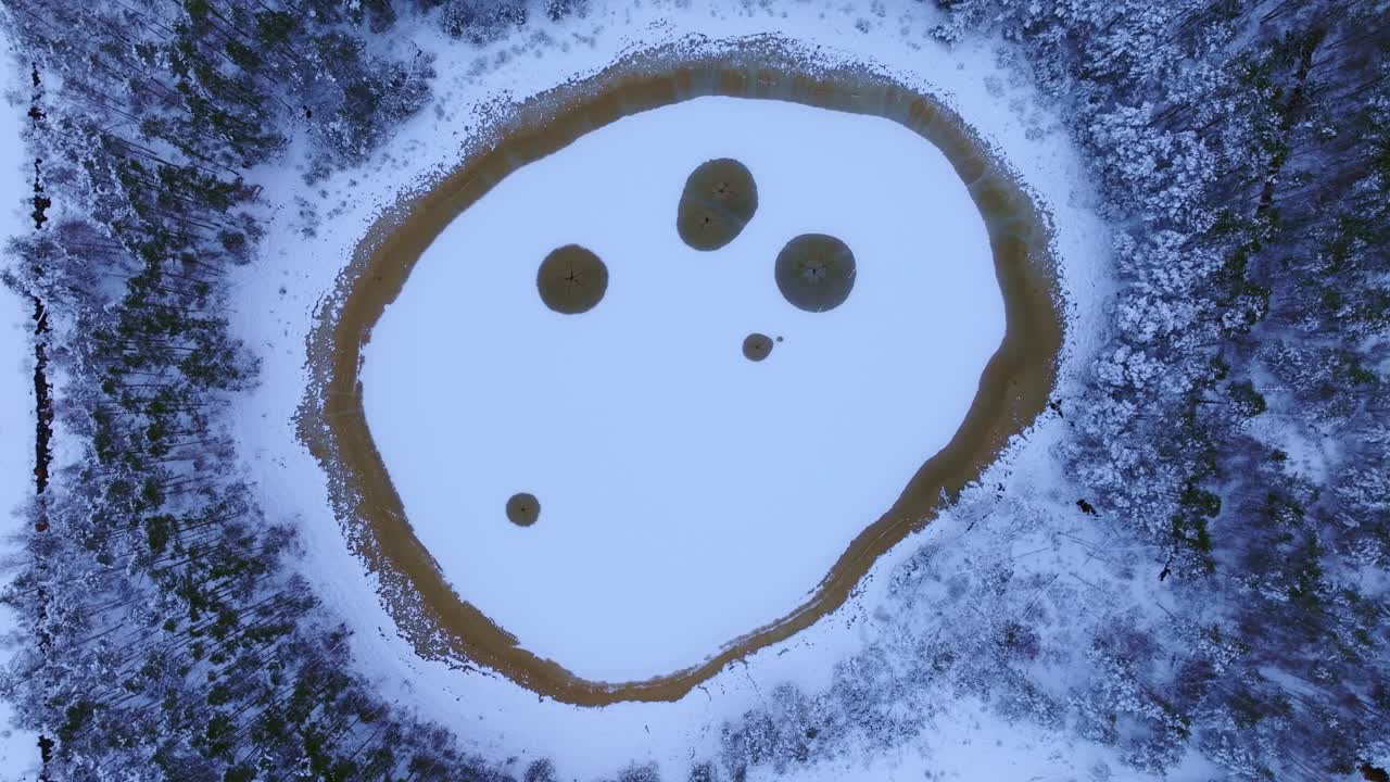 Top-down winter view of frozen bog lake surrounded by forest in Medema Swamp