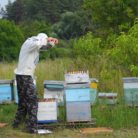Beekeeper in protective workwear. Hives background at apiary. Man works on the apiaries in the spring