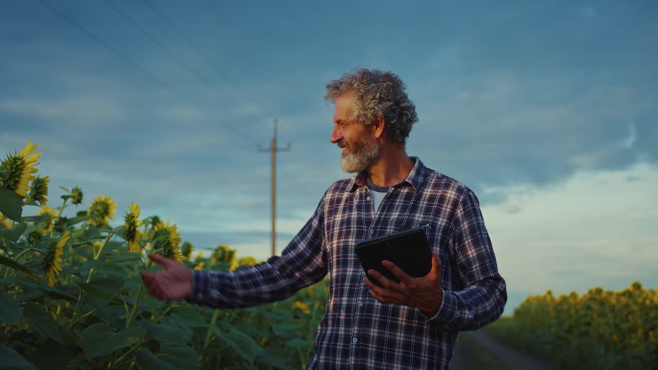 Farmer Inspecting Sunflowers with Tablet