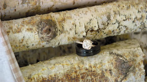 luxury diamond wedding rings on rustic birch tree logs background