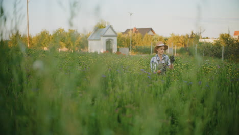 woman gardening in a field of flowers