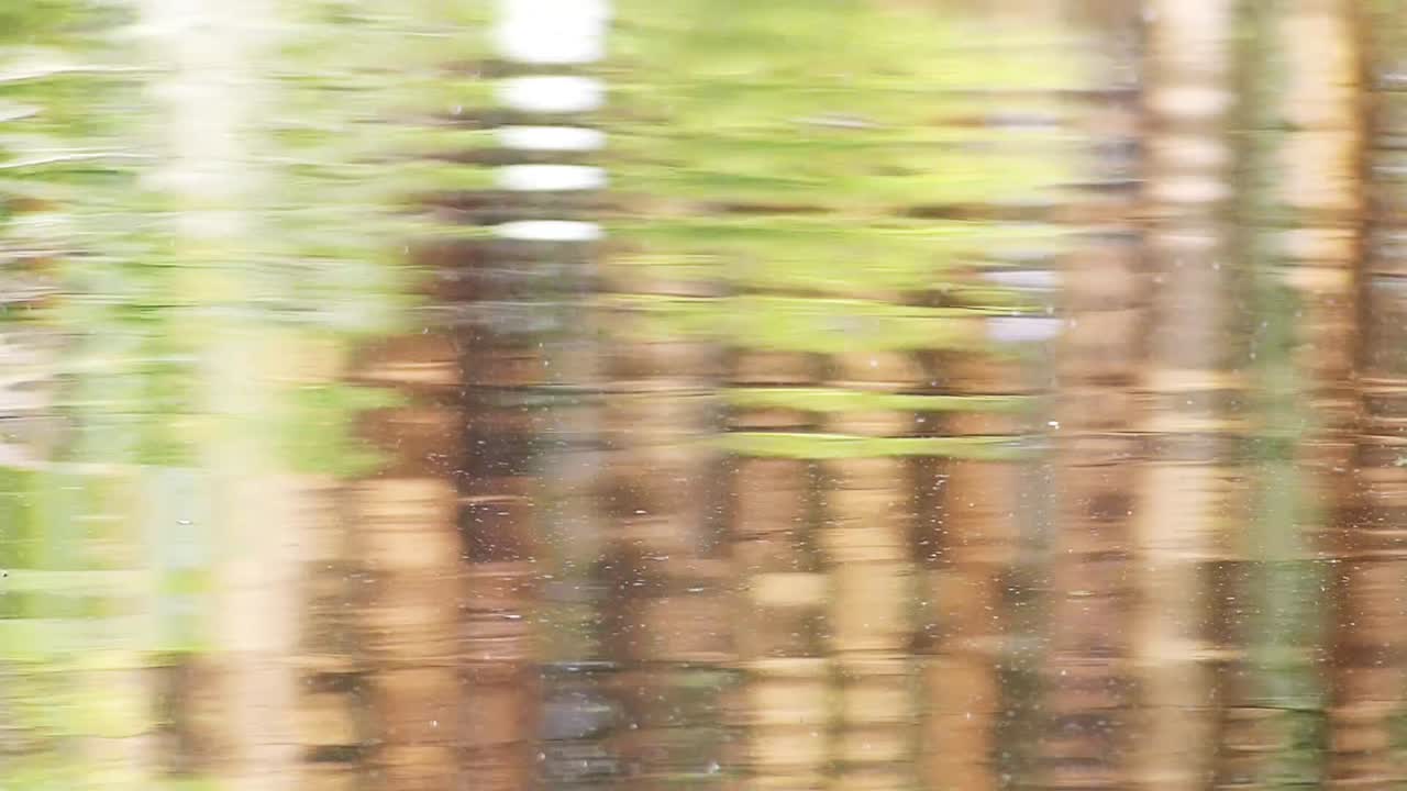 Abstract blurred reflection of forest in rippled water