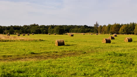 large hay bales rolled and drying in sunlight. low aerial drone panning across a grassy field.